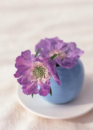 アジアン家具で自分の部屋を演出